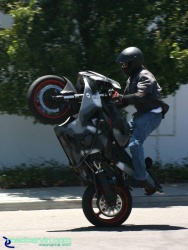 CBR954RR - Standup Wheelie